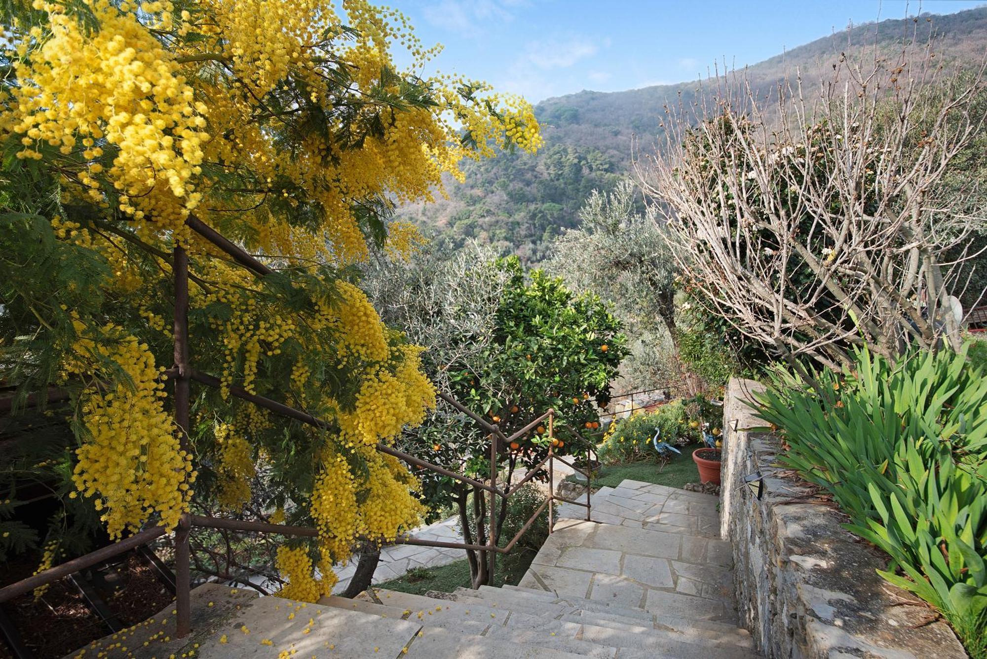 Ferienwohnung Ca' Du Massunin Recco Exterior foto